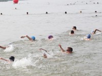 Sérült úszók és ökoszemlélet a 2. Sport24 Velencei Tóúszáson