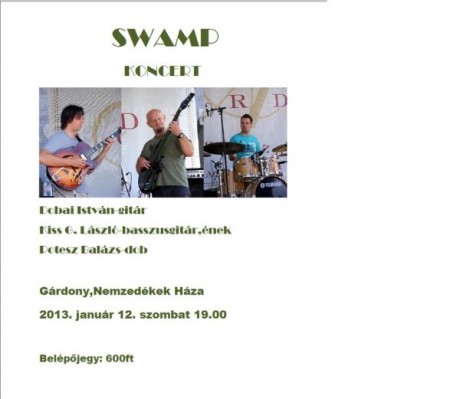 swamp_koncert