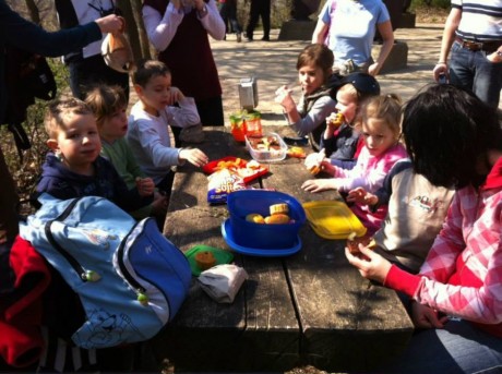 Piknik a Budakeszi Vadasparkban. Fotó: facebook